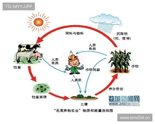 以养殖企业家为核心探索现代生态循环畜牧业发展新路径高质量未来图景