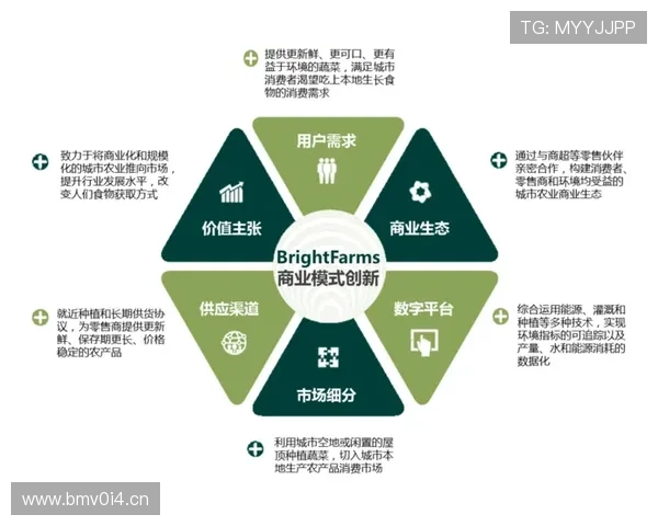 企业家创新精神引领未来商业模式的变革与发展路径探析