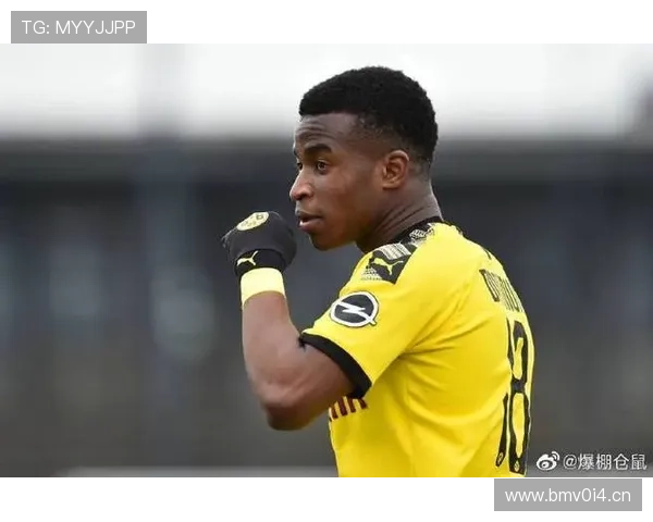 多特青训主管：球员知晓晋升机会